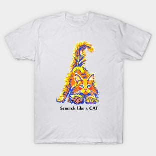 PicatsoCats Stretching Kitty T-Shirt